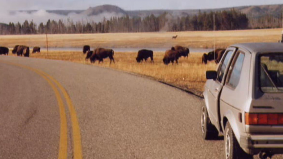 RETARD → Magazine - Tangerine Dream – Yellowstone Park  2/2