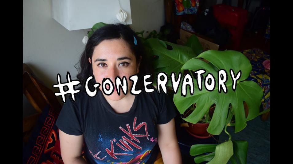 RETARD → Magazine - Video de présentation pour le Gonzervatory 